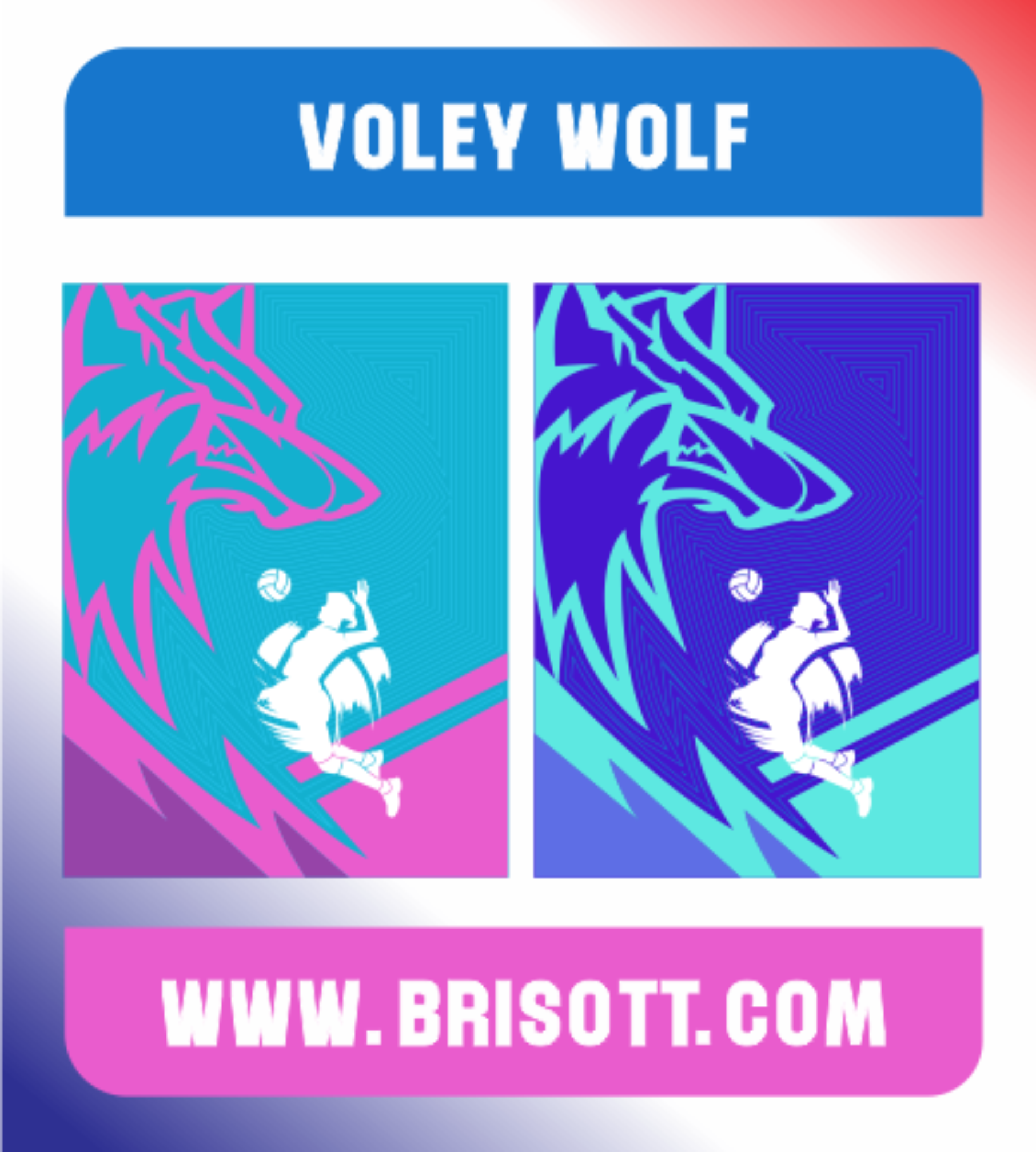 VOLEY WOLF